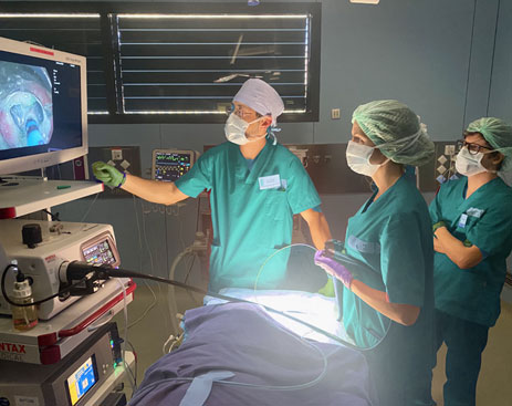 Equipo de profesionales acreditados en endoscopia digestiva y aparato digestivo