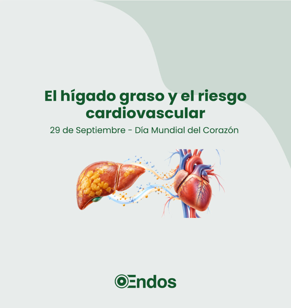 Día internacional del Corazón, el hígado graso y el riesgo cardio vascular